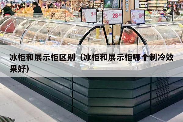 冰柜和展示柜區別（冰柜和展示柜哪個(gè)制冷效果好）