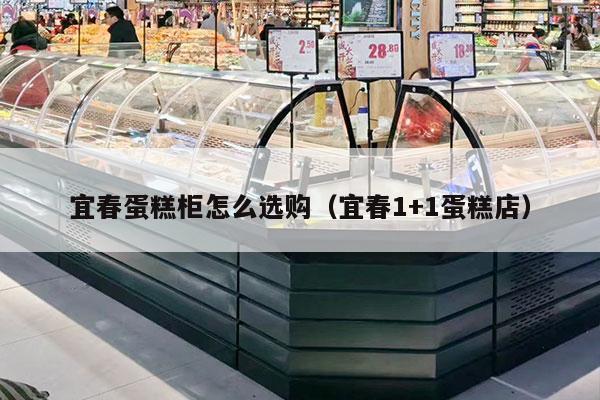 宜春蛋糕柜怎么選購（宜春1+1蛋糕店）