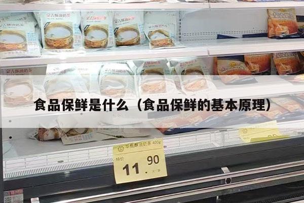 食品保鮮是什么（食品保鮮的基本原理）