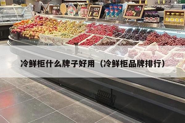 冷鮮柜什么牌子好用（冷鮮柜品牌排行）